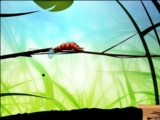 Larva Dream