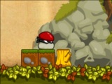 Ninja Mushroom