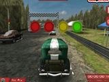 Ultimate 3D classic Rally