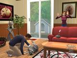 zber z hry The Sims 2: Pets