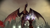 zber z hry Dragon Age: Origins
