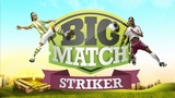 zber z hry Big Match Striker