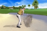 zber z hry Real Golf 2011