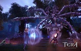 zber z hry Tera: Exiled Realm of Arborea