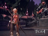 zber z hry Tera: Exiled Realm of Arborea