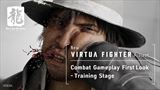 Virtua Fighter - Trningov arna