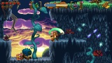 zber z hry Fox n Forests