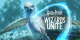 zber z hry Harry Potter: Wizards Unite