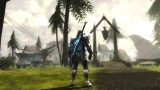 zber z hry Kingdoms of Amalur: Re-Reckoning