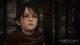 A Plague Tale: Requiem - wallpaper  