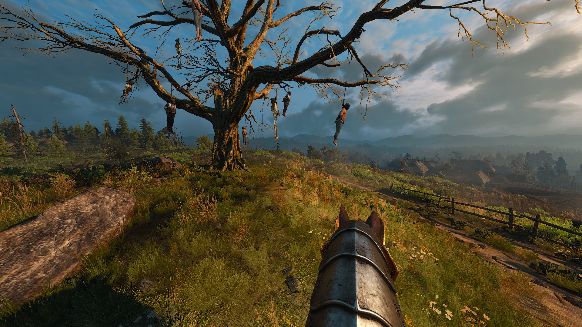 The witcher 3 ps5 fps фото 25