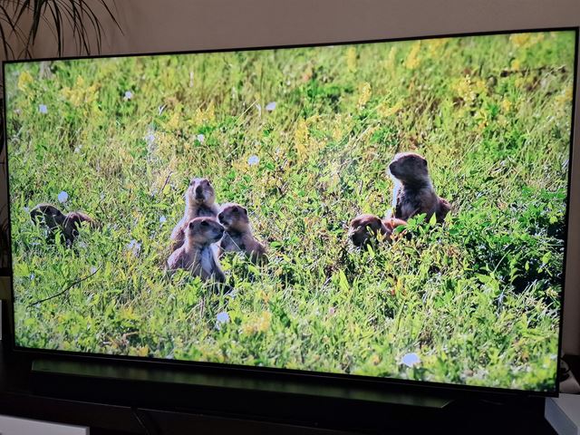 Samsung 65'' QE65QN800B -  8K TV