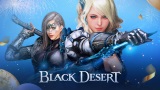 zber z hry Black Desert Online