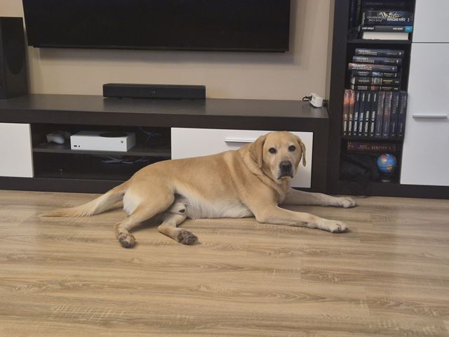 Samsung Galaxy Z Flip7 FE