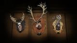 z�ber z hry theHunter: Call of the Wild