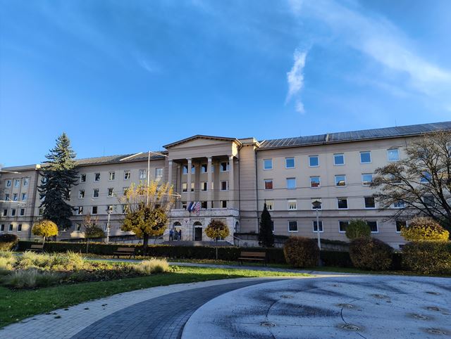 Nothing Phone (3a) Lite