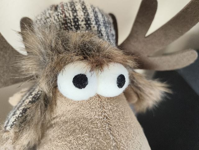 Nothing Phone (3a) Lite