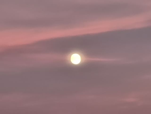 Nothing Phone (3a) Lite