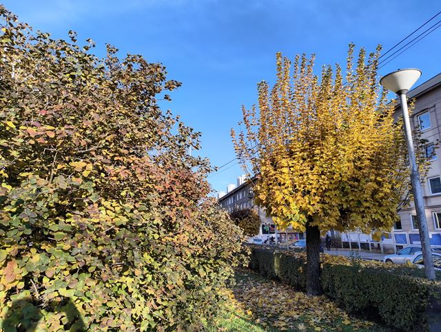 Nothing Phone (3a) Lite