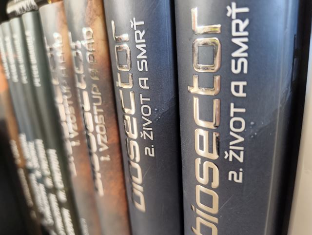 Nothing Phone (3a) Lite