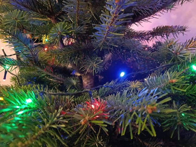 Xiaomi Redmi Note 15 Pro 4G