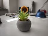 Xiaomi 14T Pro