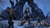 zber z hry Elder Scrolls Online
