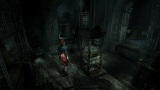 zber z hry Tormented Souls 2