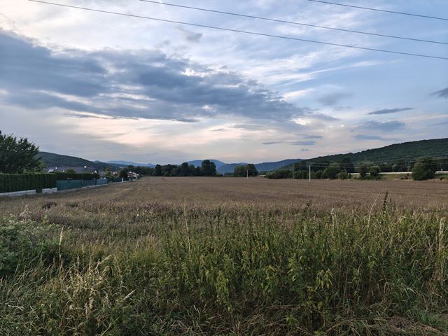 Nothing Phone (3)