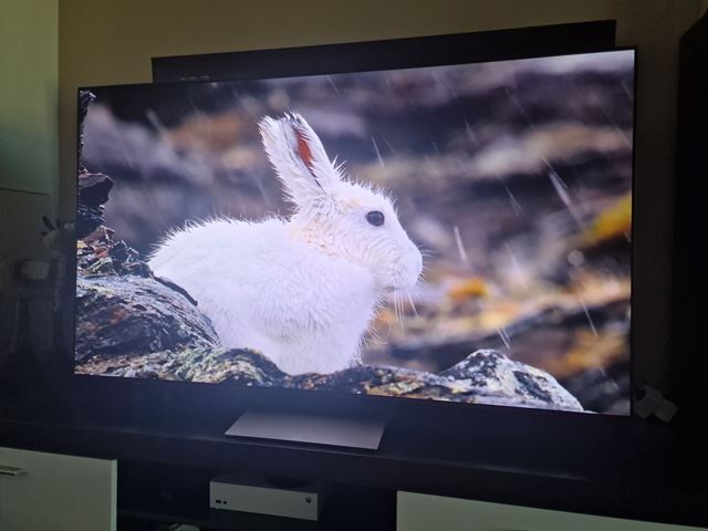 Samsung S90F OLED TV