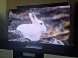 Samsung S90F OLED TV
