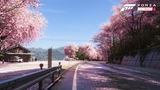 z�ber z hry Forza Horizon 6