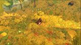 z�ber z hry The Kingsward