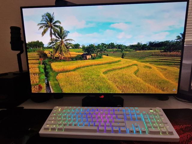 Asus ROG Strix OLED XG32UCWMG 4K