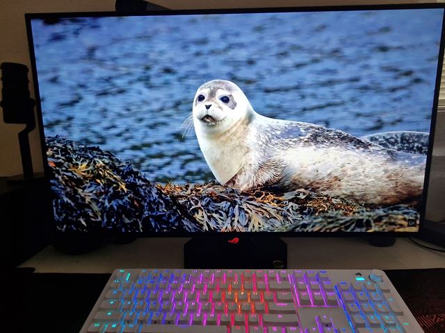 Asus ROG Strix OLED XG32UCWMG 4K