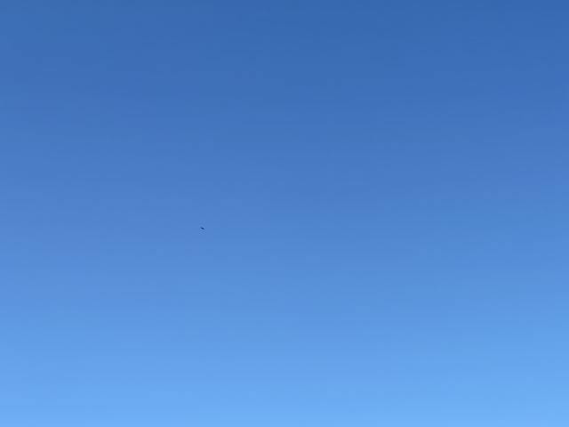 Honor Magic8 Pro
