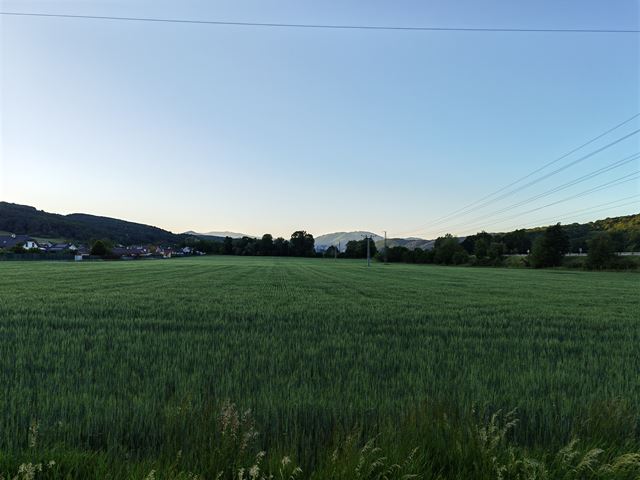 Honor 600