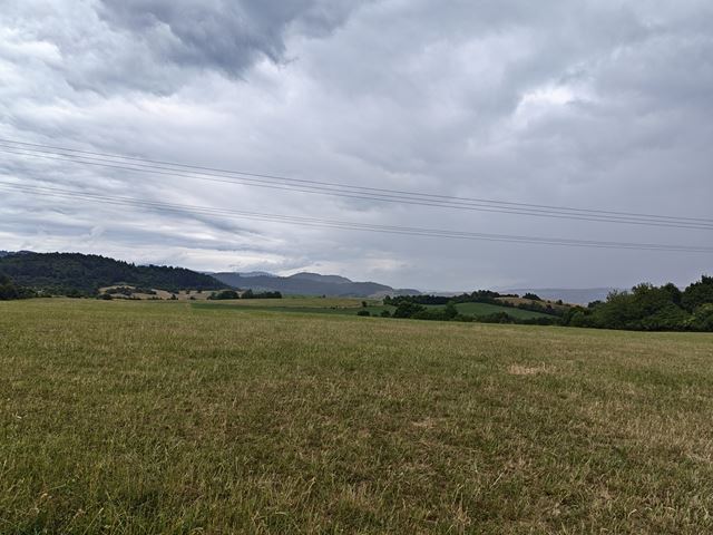 Honor 600 Pro
