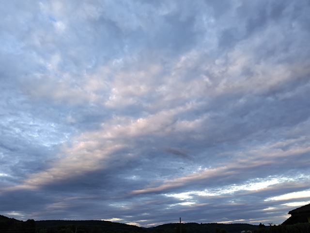 Honor 600 Pro