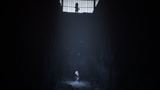 z�ber z hry Reanimal