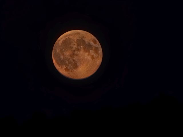 Poco F9 Pro