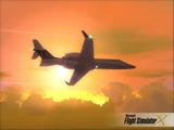 zber z hry Flight Simulator X