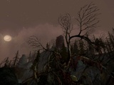 zber z hry The Lord of the Rings Online: Siege of Mirkwood
