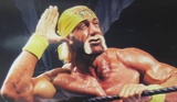 zber z hry Hulk Hogans Main Event