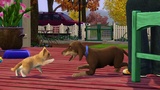 zber z hry Sims 3: Pets