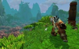 zber z hry World of Warcraft: Mists of Pandaria