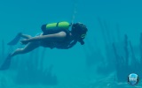 zber z hry World of Diving