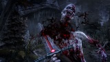 zber z hry Dying Light: Hellraid