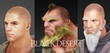 zber z hry Black Desert Online