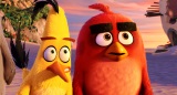 zber z hry Angry Birds